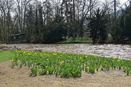 BadNeu (12)